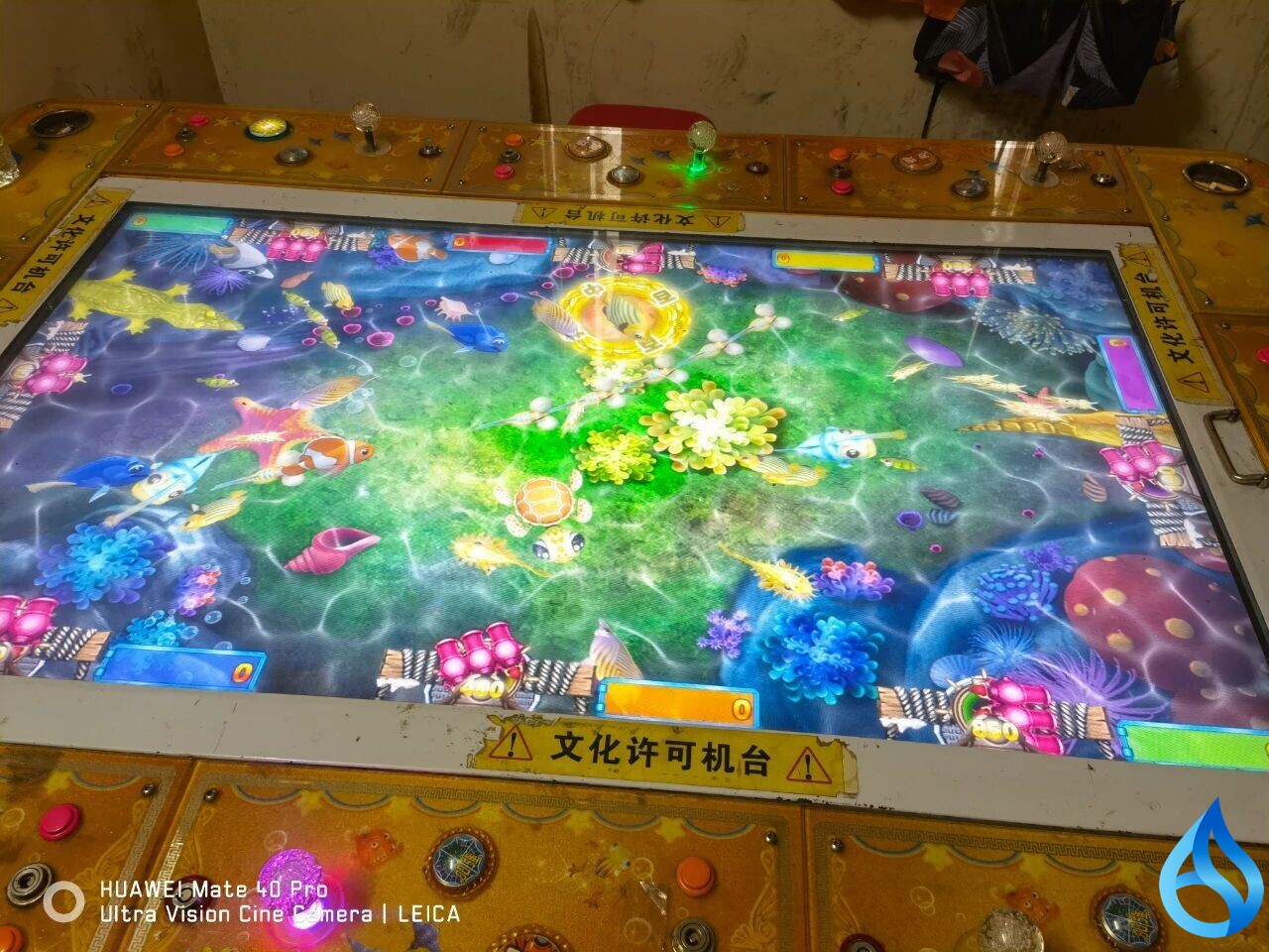 期待“翻盘”的你，却不知道这都是赌场的套路...