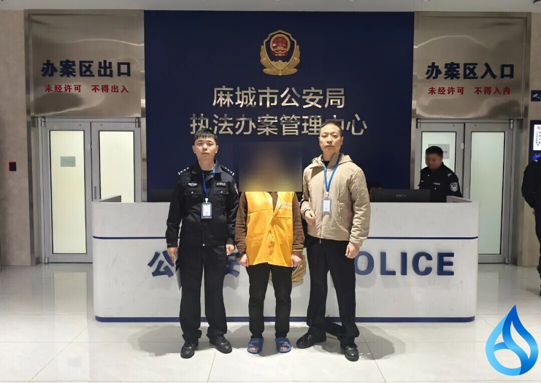 麻城查出3起案件