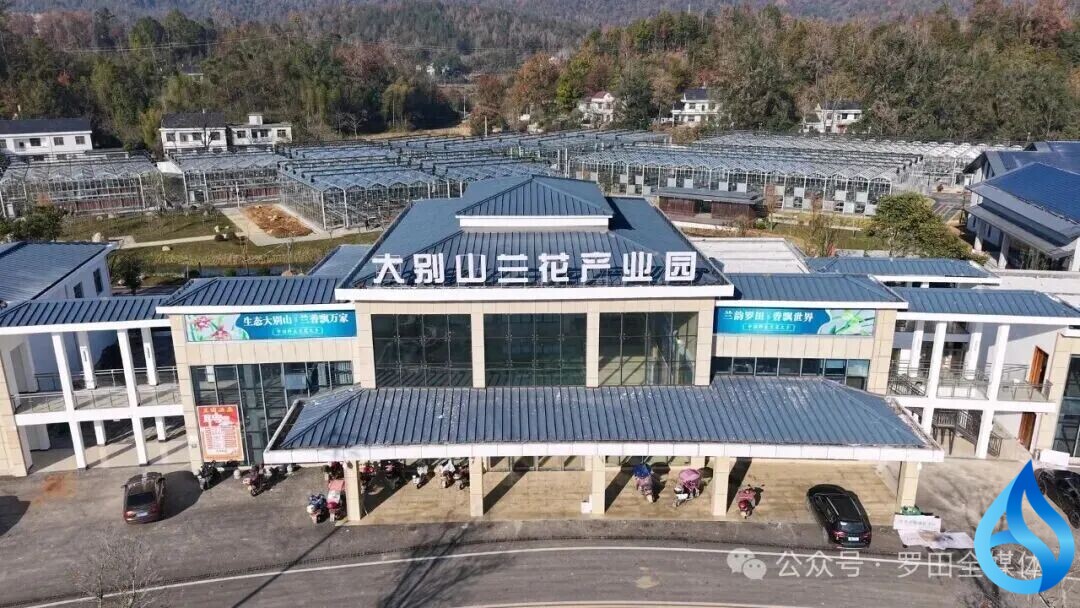 罗田一产业园将开园