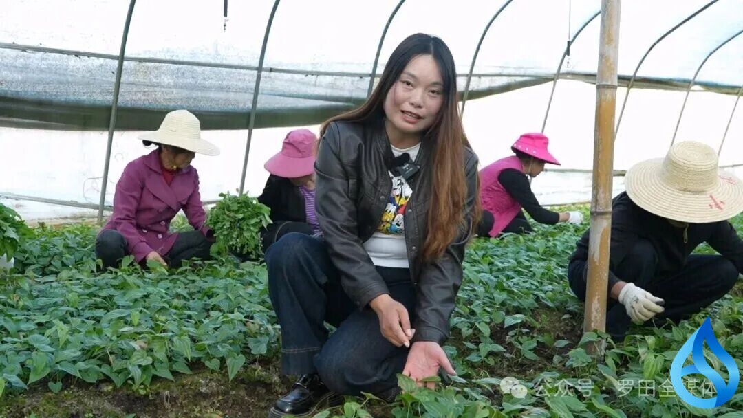 罗田联农带农促增收