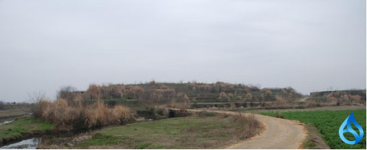 浠水境内文物线索征集