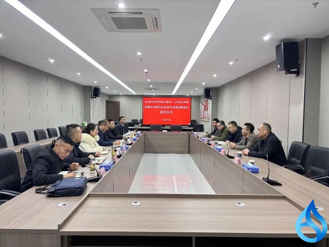 红安一项目签约