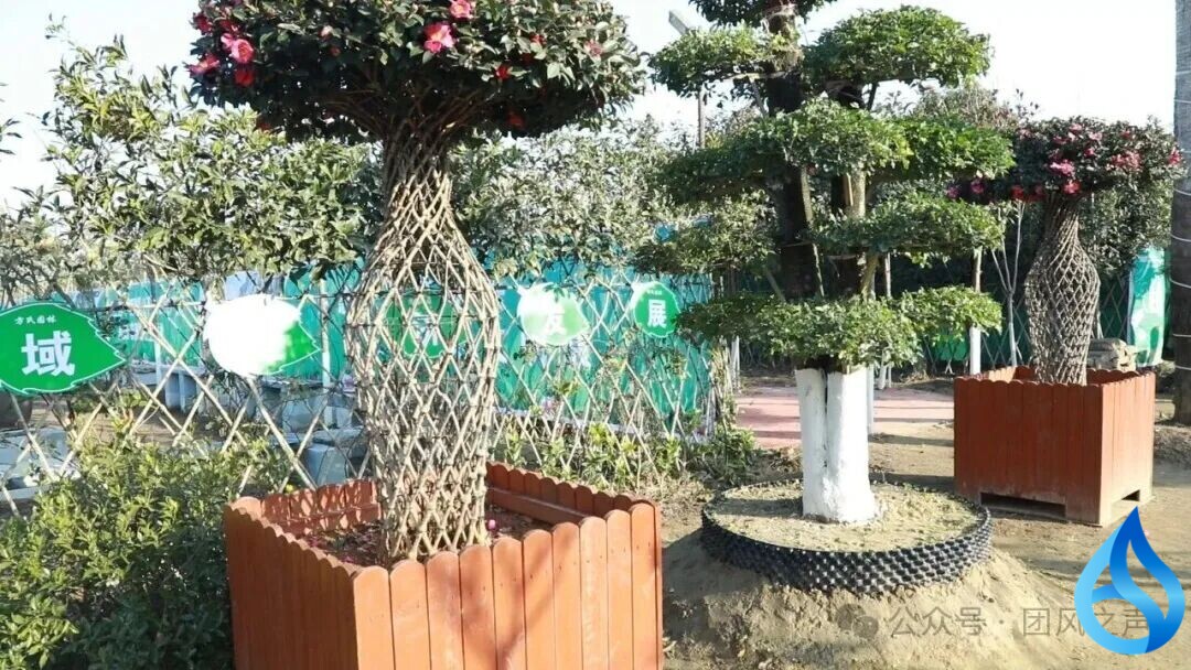 团风一盛会即将启幕