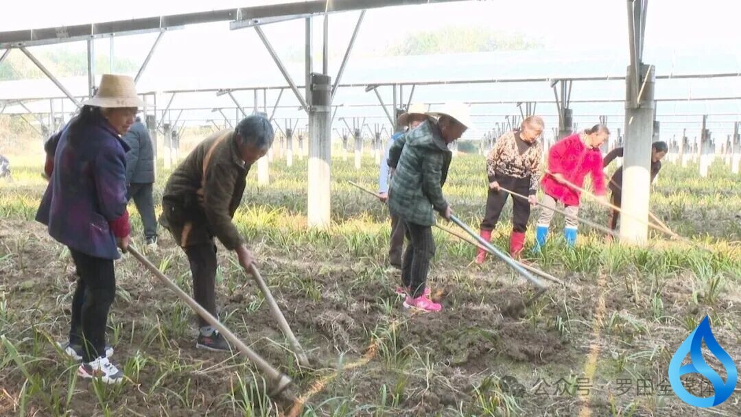 罗田绘就幸福图景