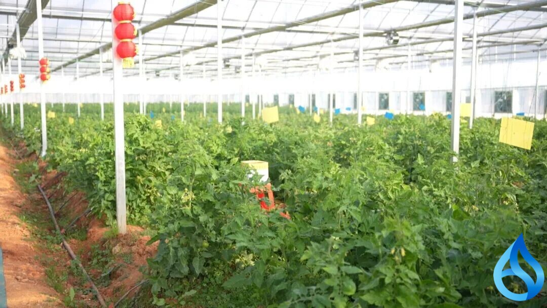 武穴航天生态园开门红