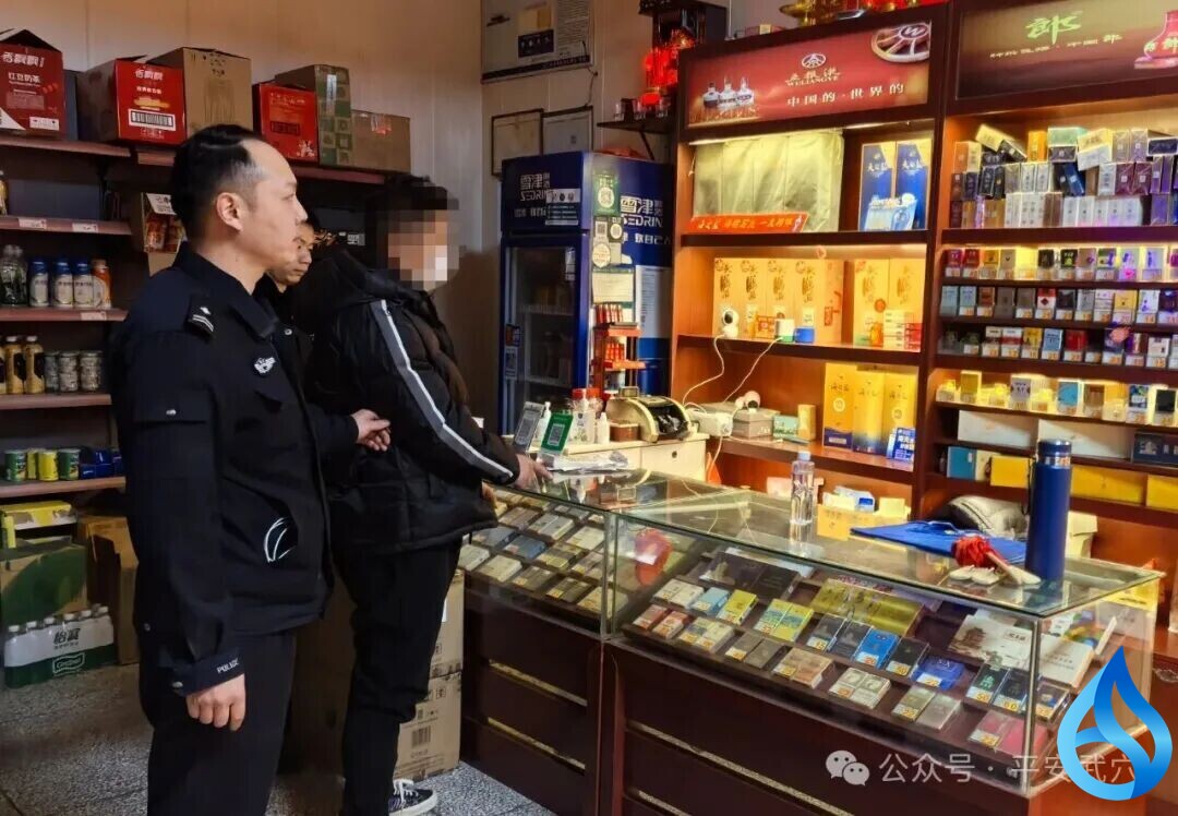 武穴警方破案13起！