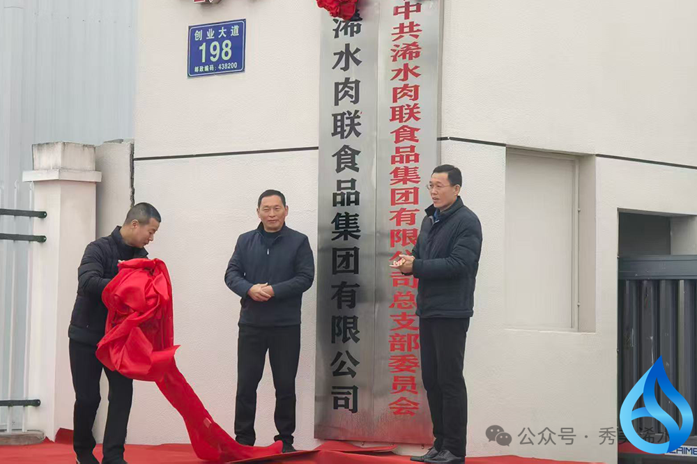 浠水一集团成立