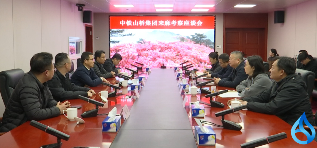 央企下属企业来麻城考察