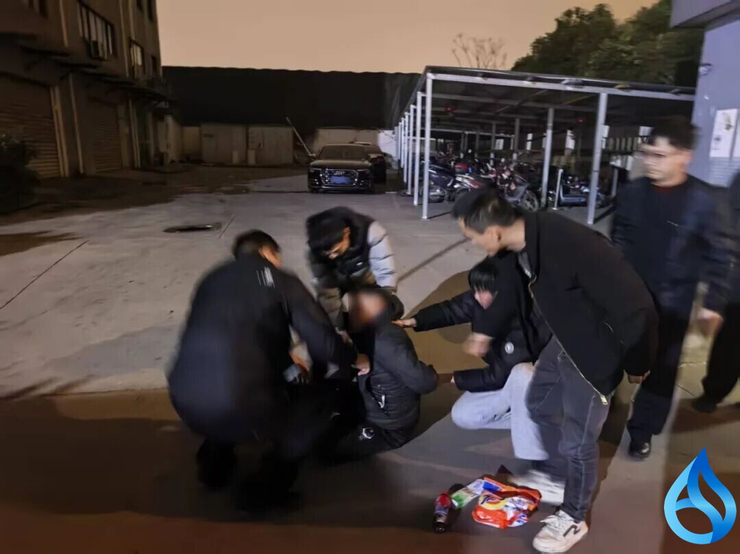 麻城警方跨区追击擒“扒手”