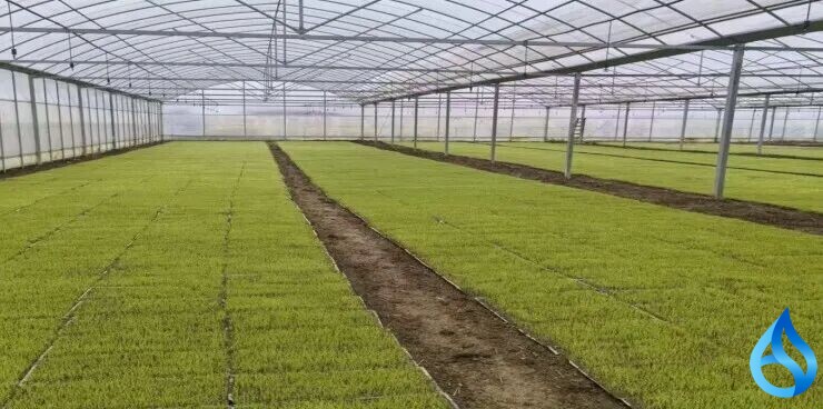 麻城旱改水筑牢致富路