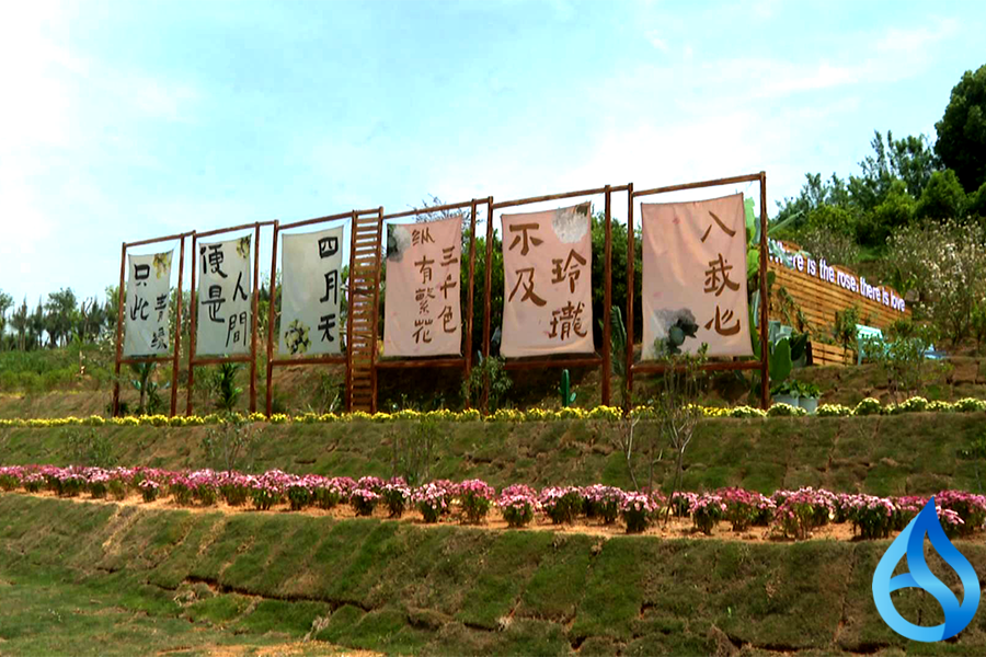 浠水迎来首届花朝节