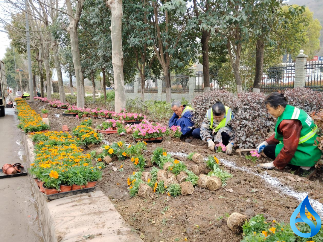 武穴江北公路繁花迎客