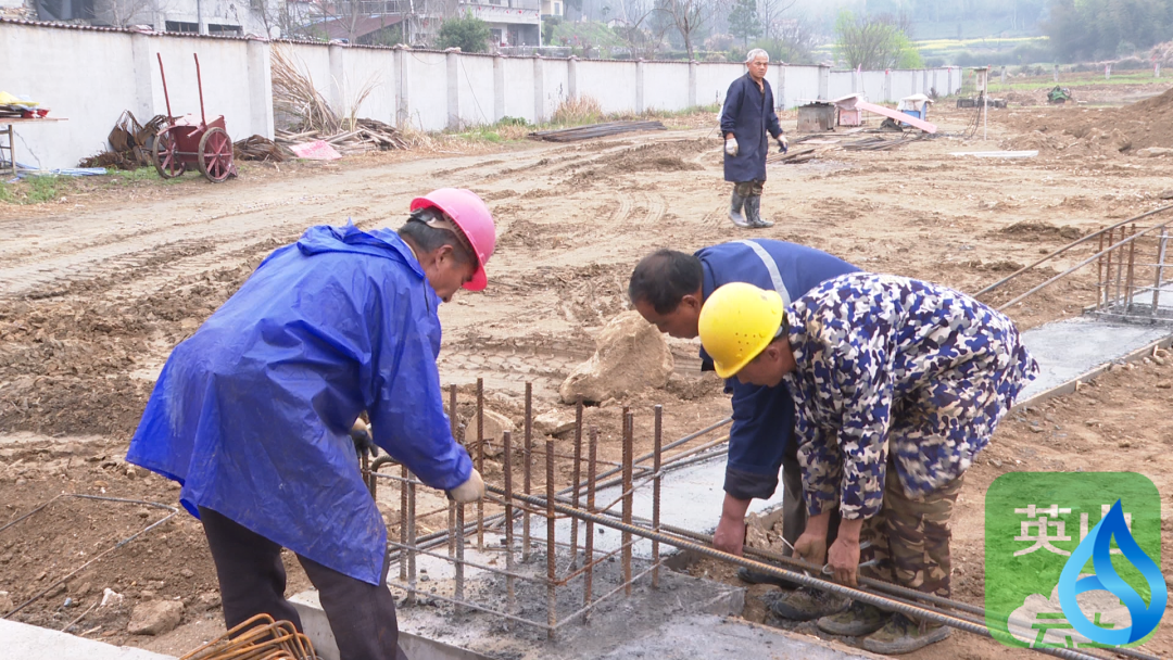 英山茶产业高质量发展