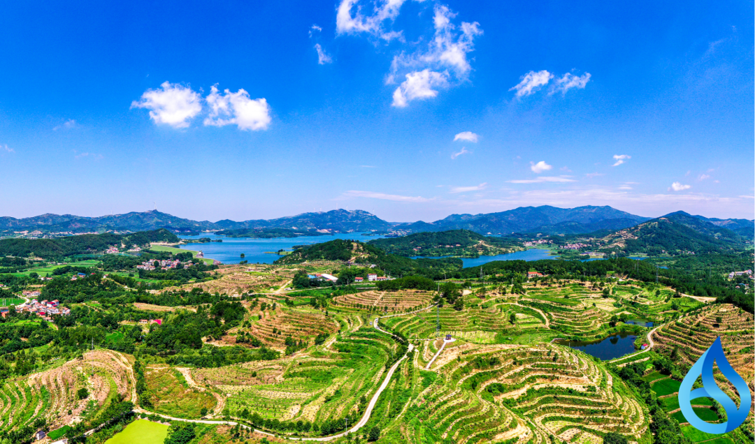 团风县全力推进水资源水工程资产化改革