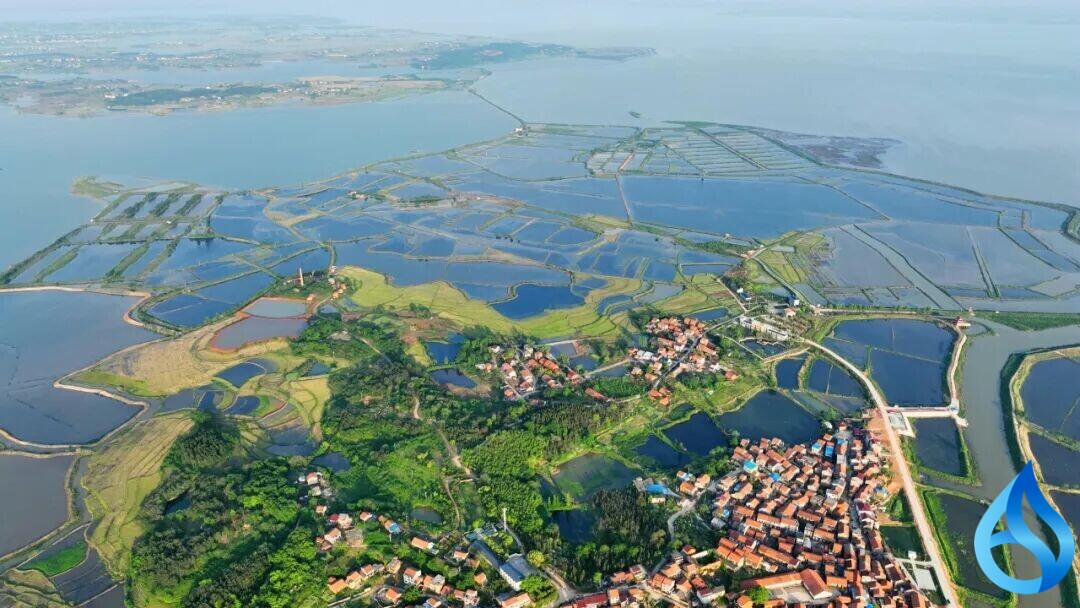 省级榜单！黄冈喜提两张“生态名片”