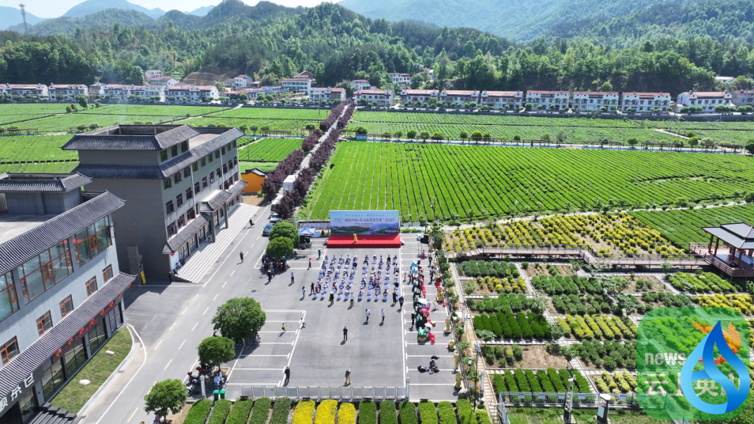 2026“遇见毕昇·英山品茶赏花季”启动