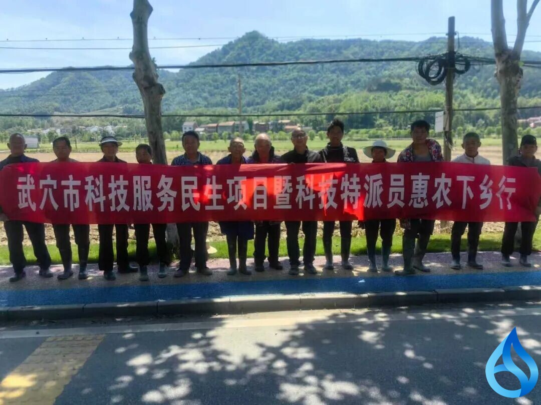 武穴科技助山药稳产增收