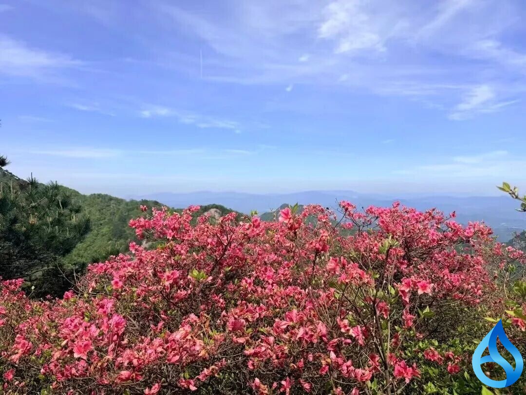 麻城龟峰山文旅热度高涨
