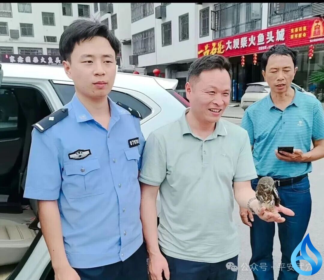 平安推文引善举，武穴警民携手护生灵