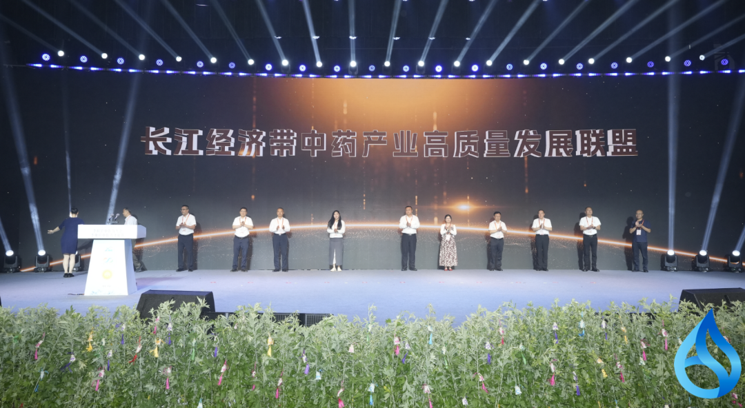 蕲春组建中药产业联盟